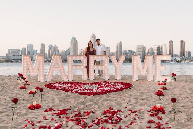 Beach Proposal