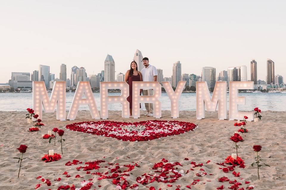 Beach Proposal