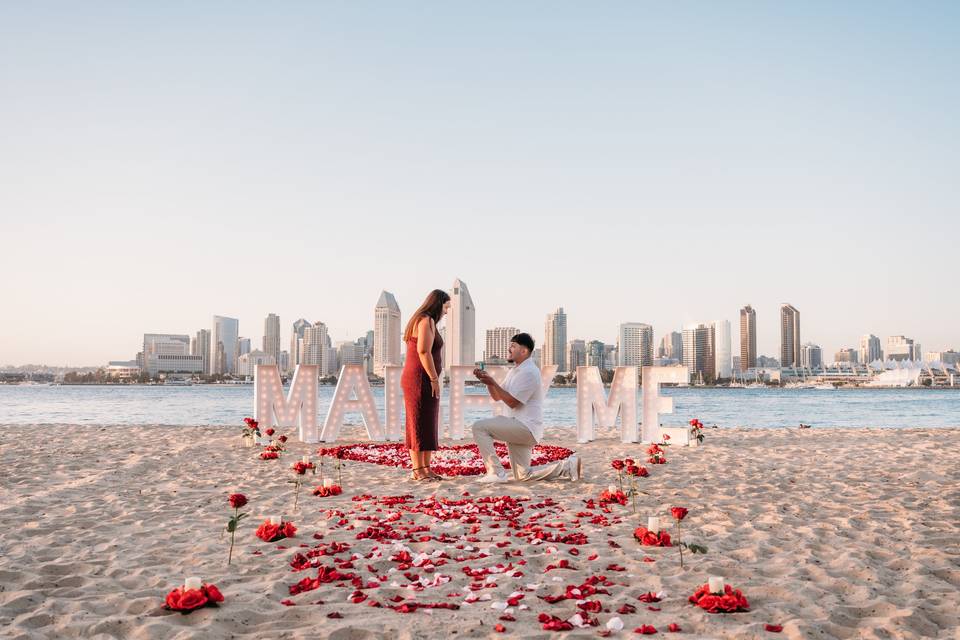 Beach Proposal Package