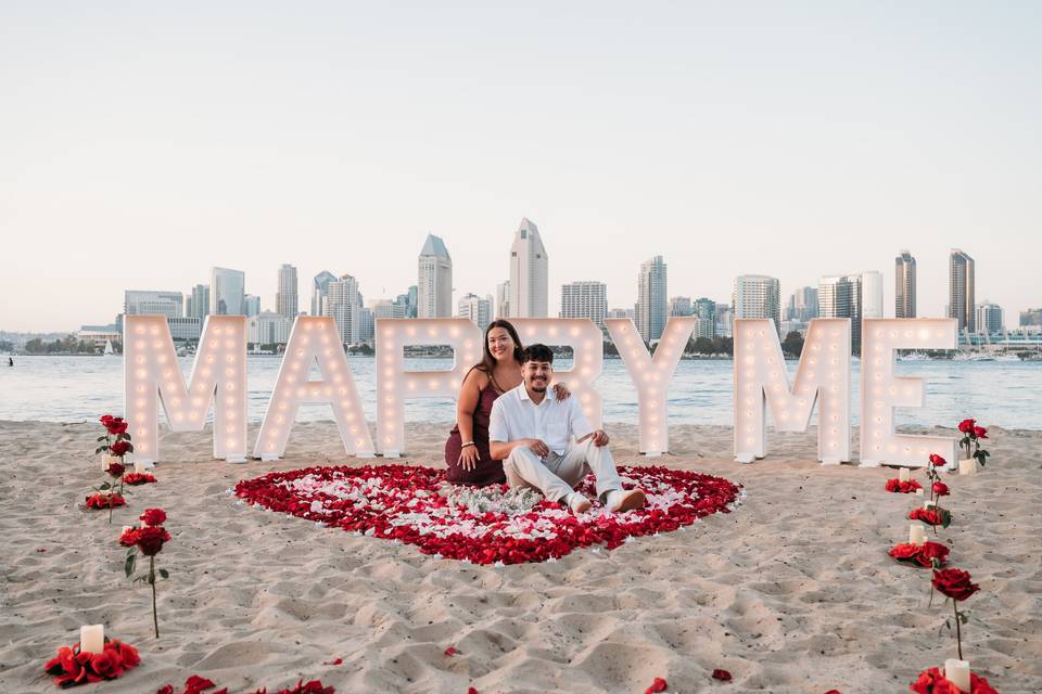 Beach Proposal