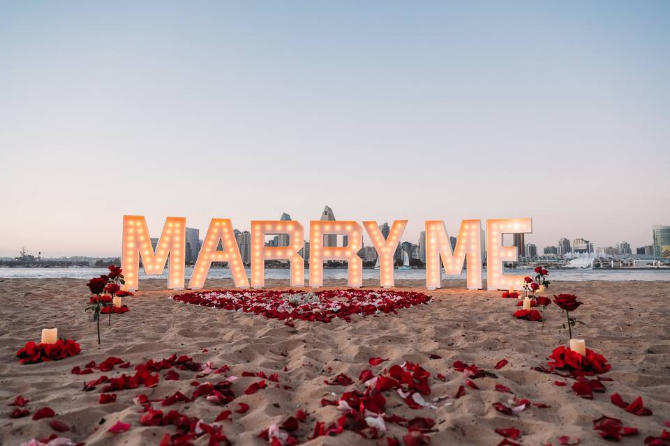 Proposal - Coronado Beach