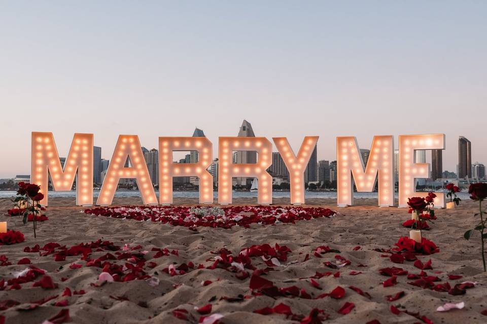 Marry Me Proposal