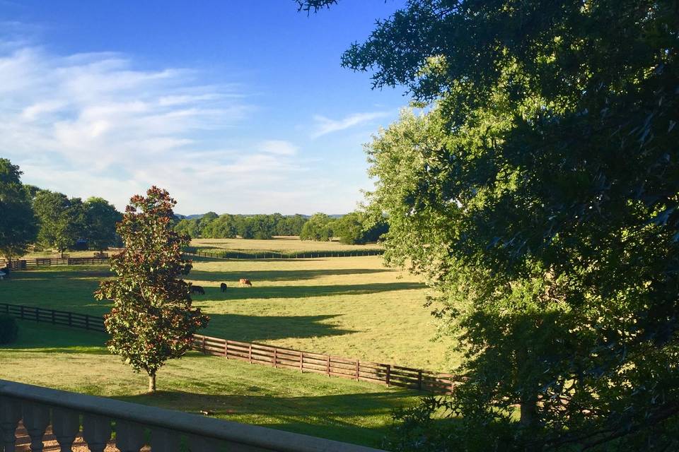 View from the balcony