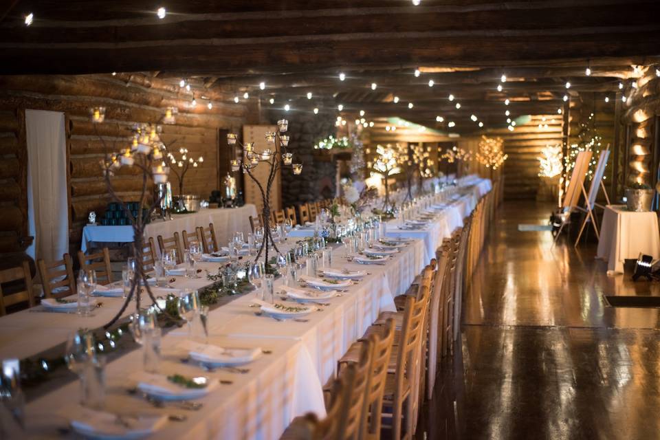 Long table setup | Sarah Boisjoli, Lighting by: LNJ Lighting, Party Rentals by: Durants Party Rentals