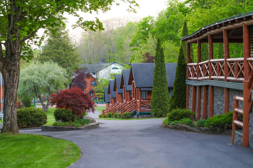 Timber Lake