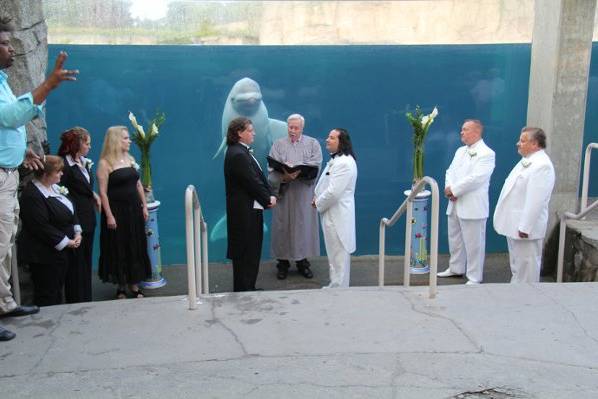 August 7, 2011 - Mystic Aquarium, Connecticut