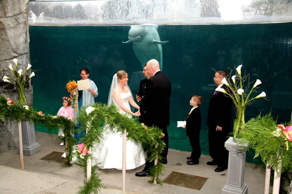 Wedding Bells Photography