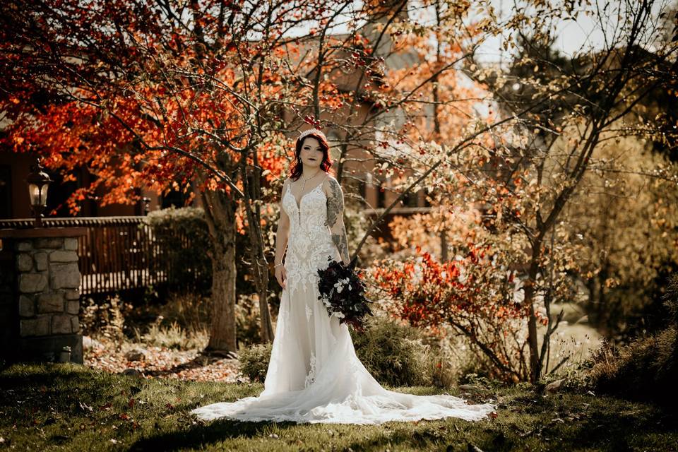Bride Portrait