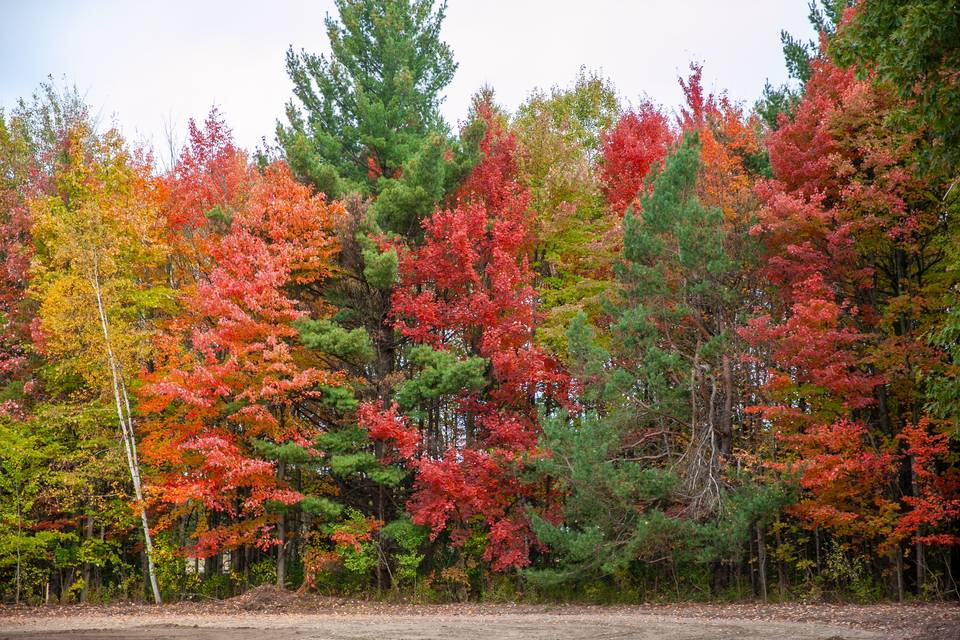 Farm during fall
