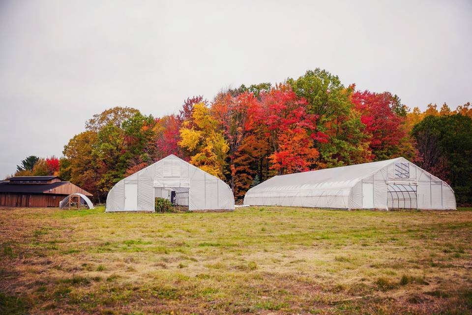 Greenhouses on the farm