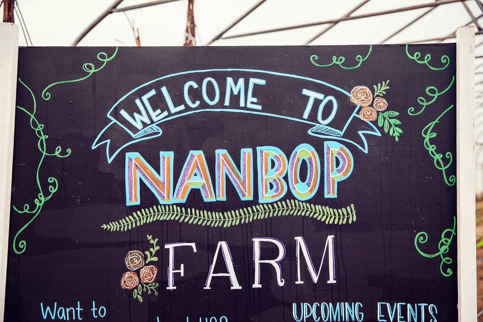 Welcome to NanBop!