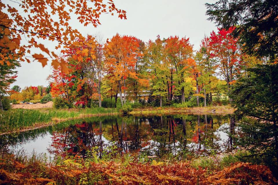 Ceremonial pond