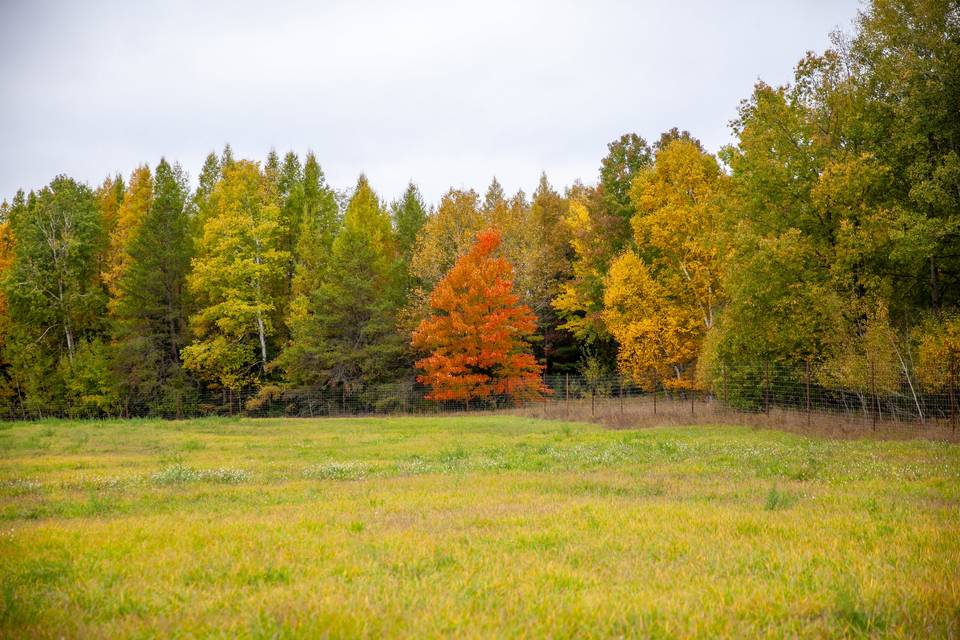 Wide open spaces