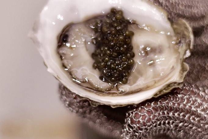 Caviar on an oyster