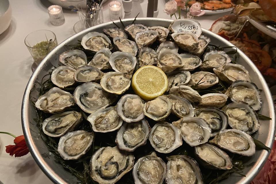 Fresh oysters