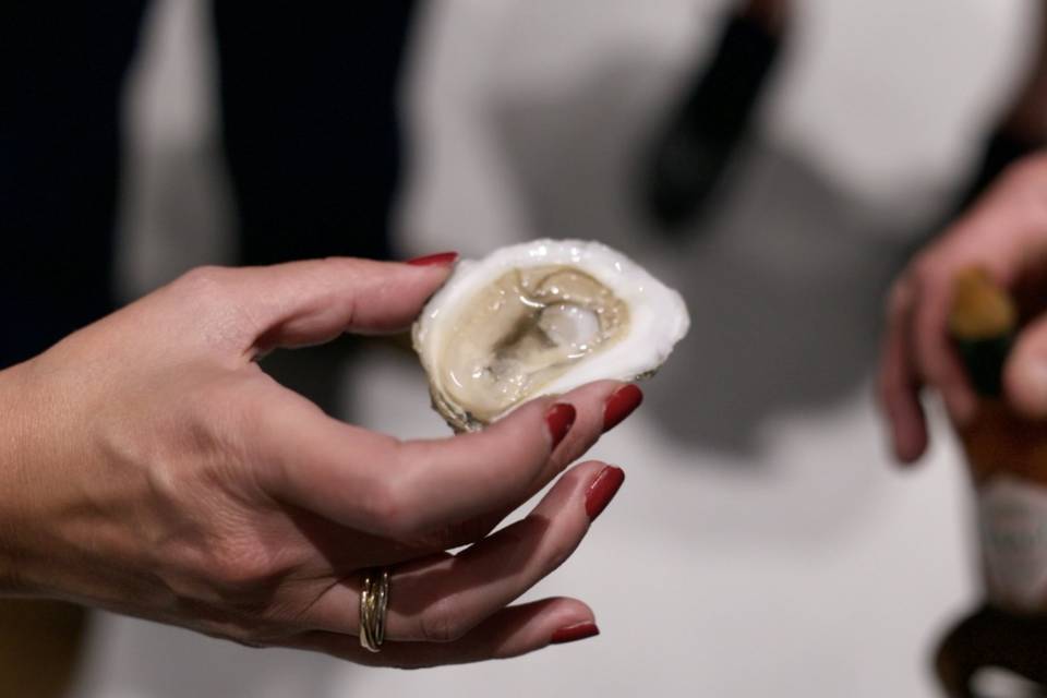 Shucked oyster