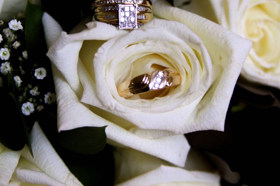 Crafte Eye Photography