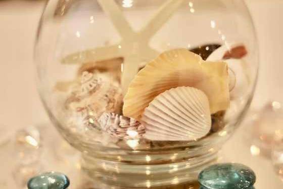 Seashells