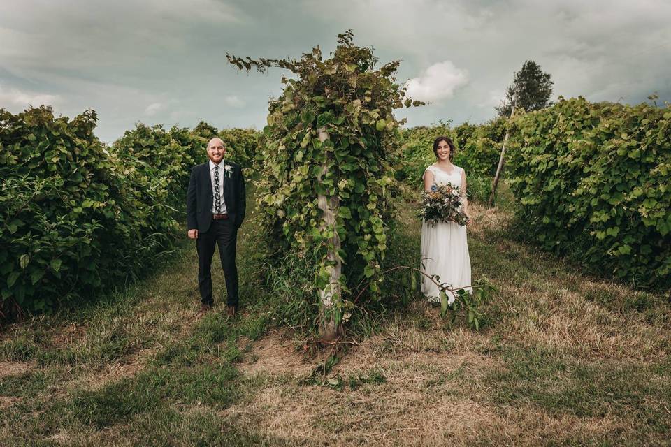 Vineyard wedding