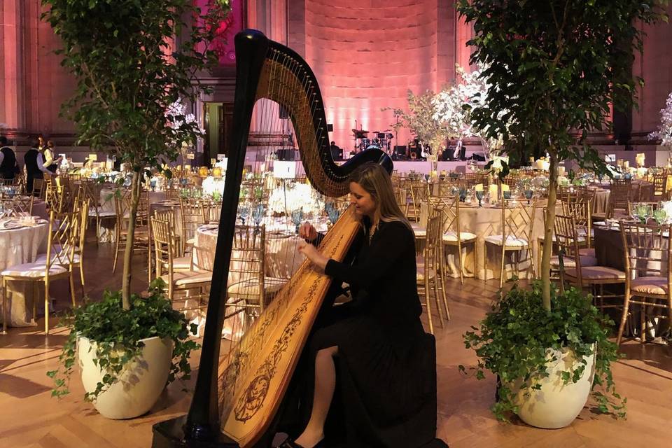 Solo Harp