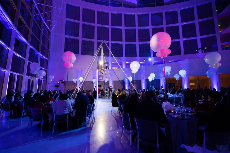 Aerialists + Custom Lighting