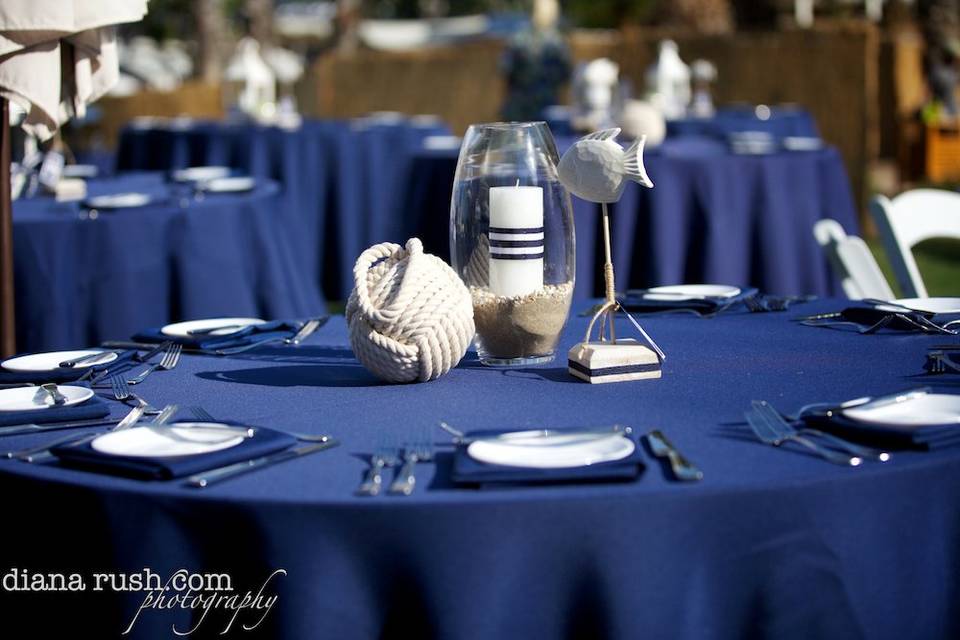 Trina Schmidt Weddings & Special Events