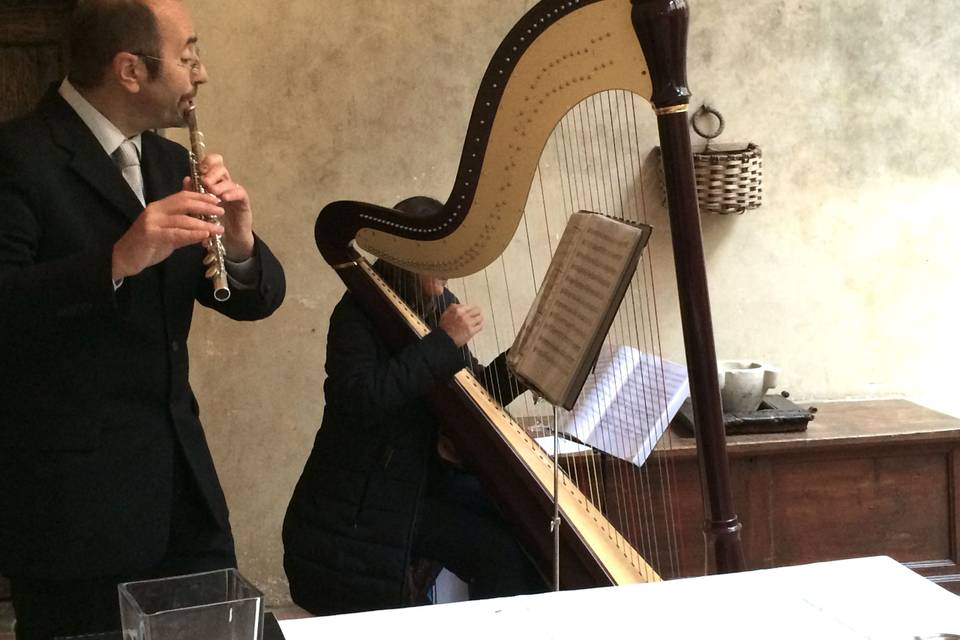 Harp soloist