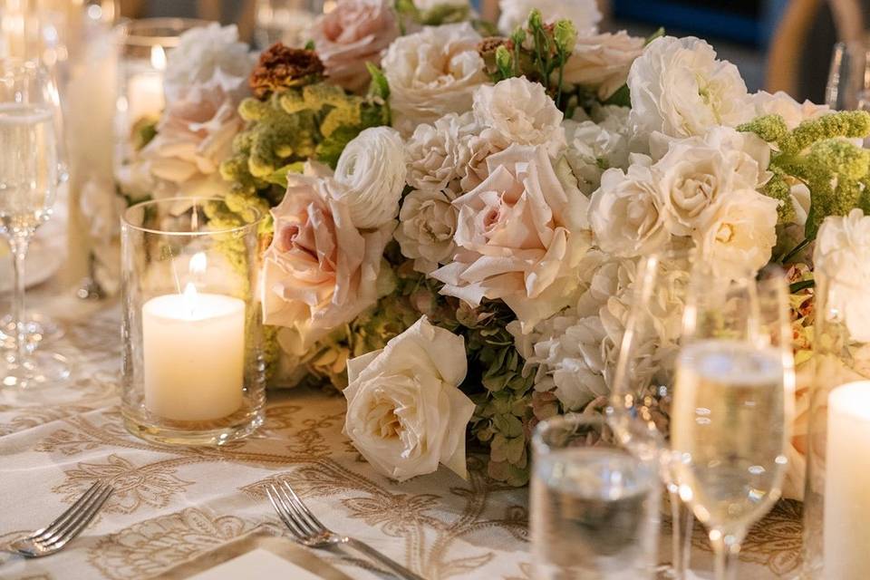 Christy Tyler Photography