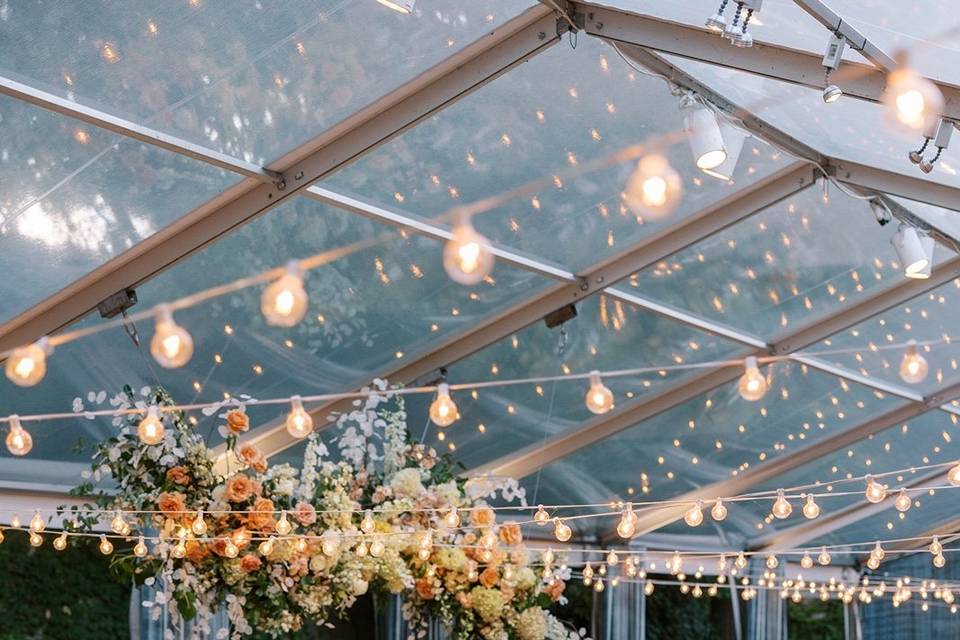 Christy Tyler Photography