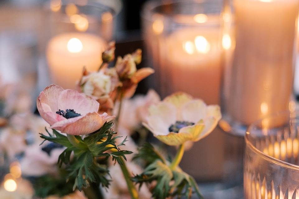 Christy Tyler Photography