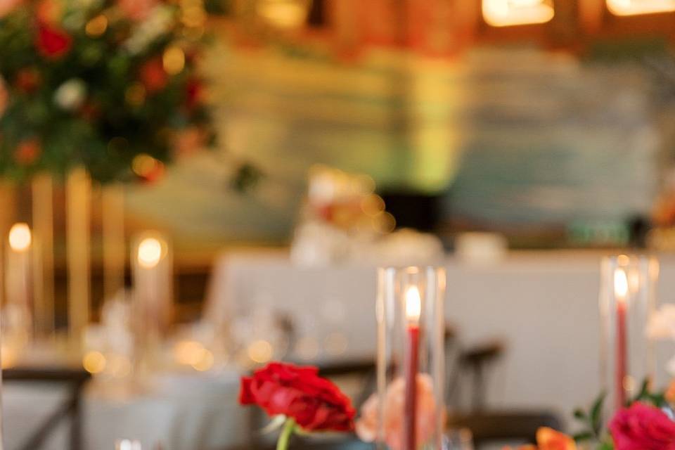 Christy Tyler Photography