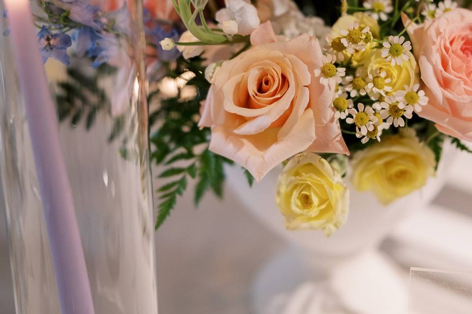 Christy Tyler Photography