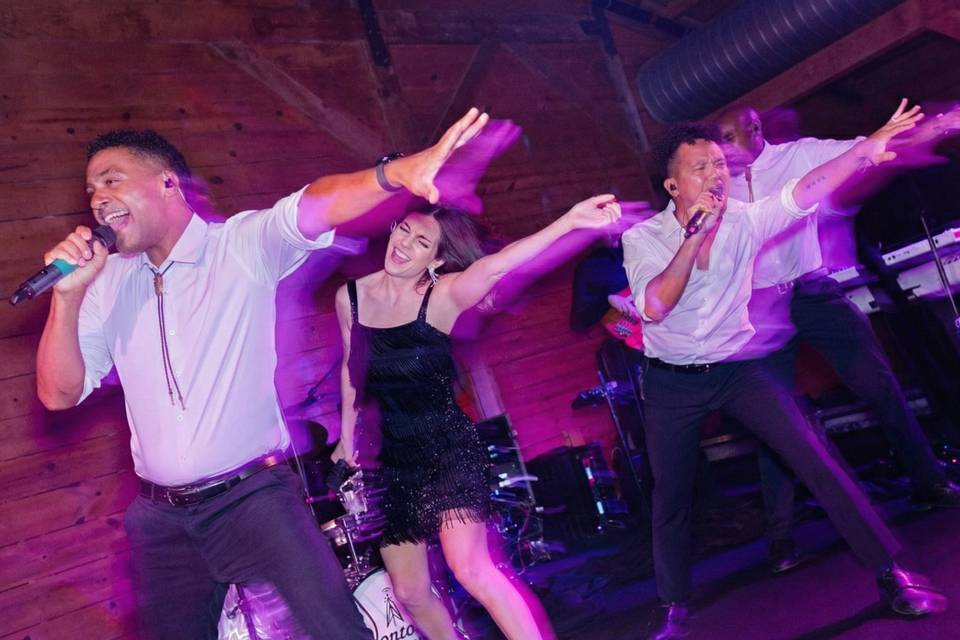 PDA Band
