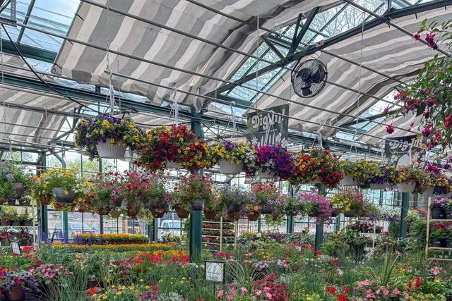Westborn Market
