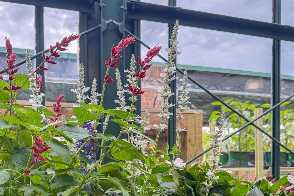 Westborn Market