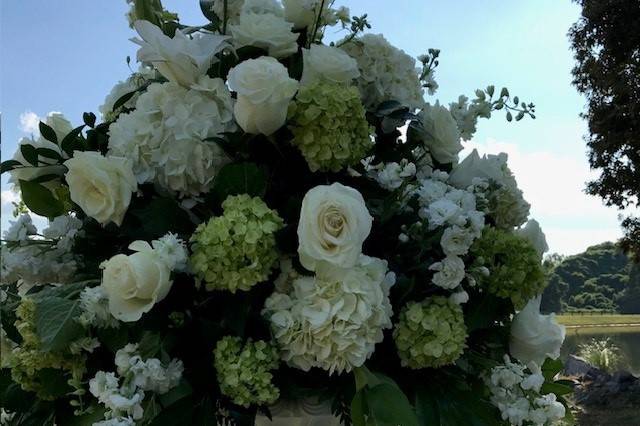 Arrangement closeup