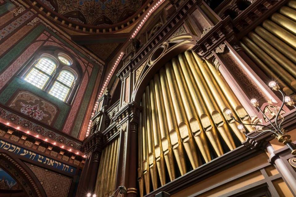 Organ