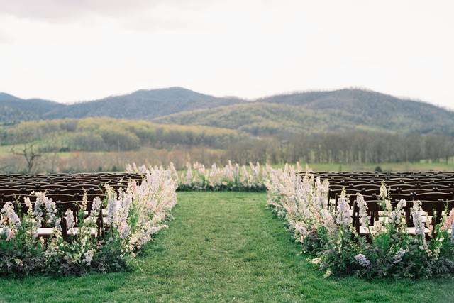 Pippin Hill Wedding
