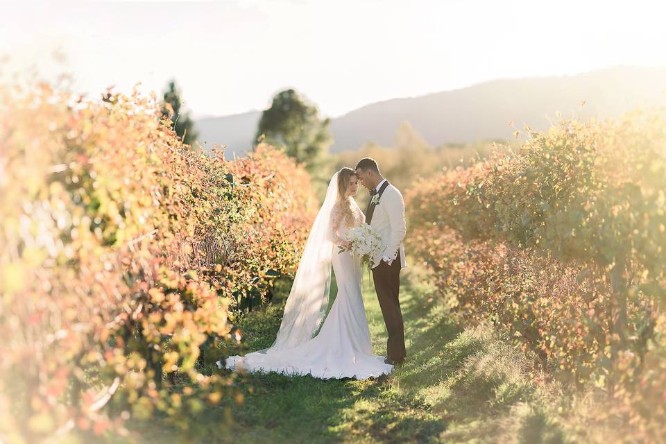 Kiss in the field | 3 Cats Photo