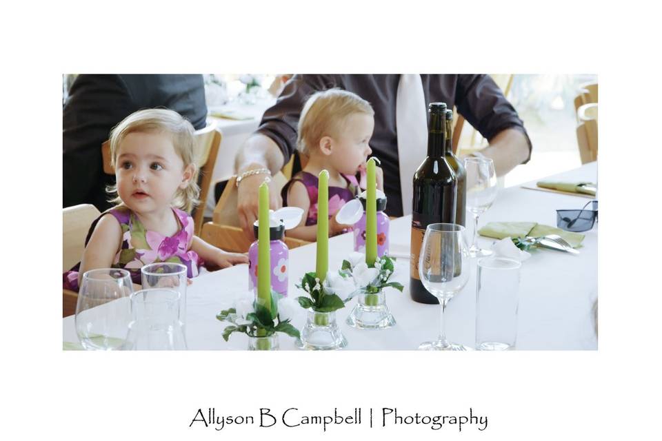 Allyson B Campbell Photography