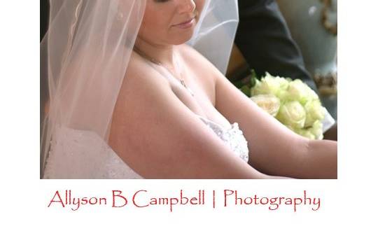 Allyson B Campbell Photography