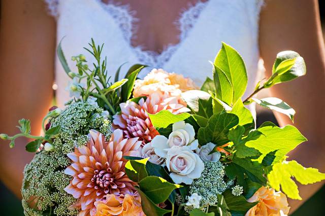 Snap Weddings