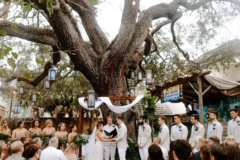 Wedding Under The Oak
