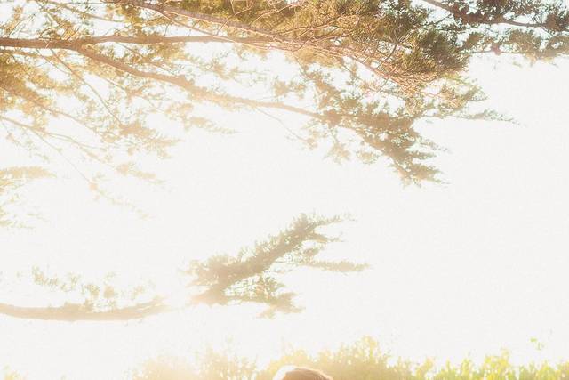 Bride Backlit