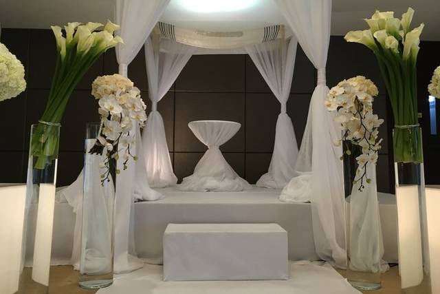 Orchids by Lupe