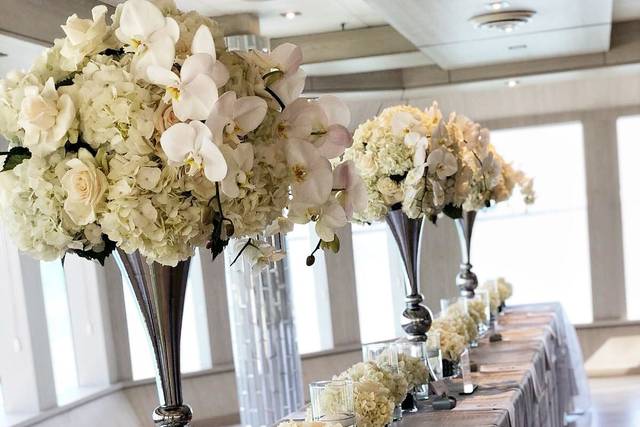 Orchids by Lupe