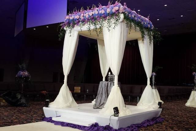 Orchids by Lupe