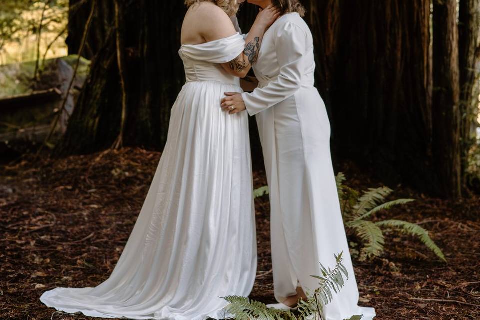 Redwood elopement