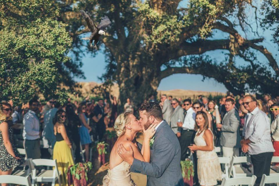 Wedding kiss