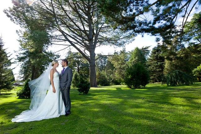 Wedding couple